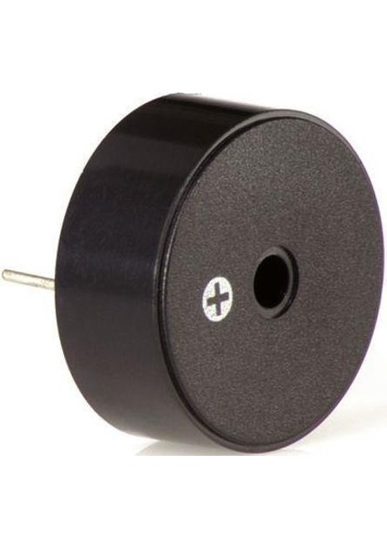 Devreli Buzzer 12V 22MM