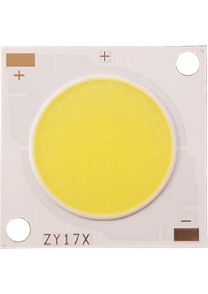 30 Watt Ray Spot Ledi Gün Işığı Projektör Ledi (Driver Dahil) Cob Led