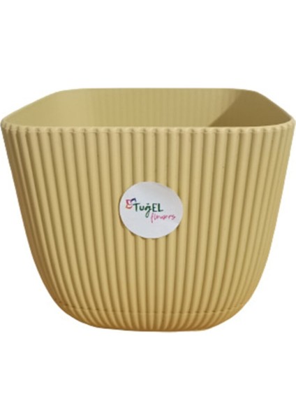 Tuğel Flowers Plastik 3 No Mercan Kare Saksı Sarı (Hacim-1.8 Litre)