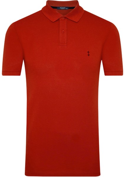 TS1014000218 Polo Yaka Slim FitPike Desenli Koyu Kırmızı Erkek T-Shirt