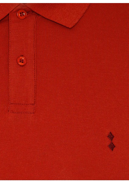 TS1014000218 Polo Yaka Slim FitPike Desenli Koyu Kırmızı Erkek T-Shirt fiyatları