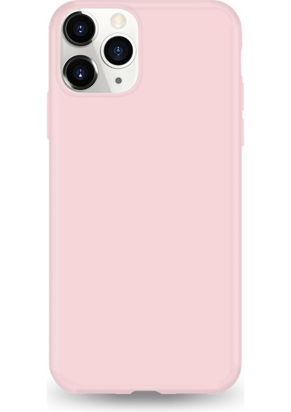 Apple iPhone 12 Lansman Silikon Kılıf Pembe