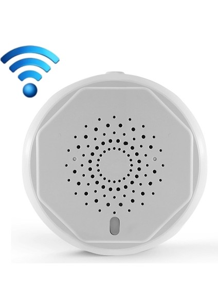Lq-6953 Akıllı Gaz Alarmı (Yurt Dışından)