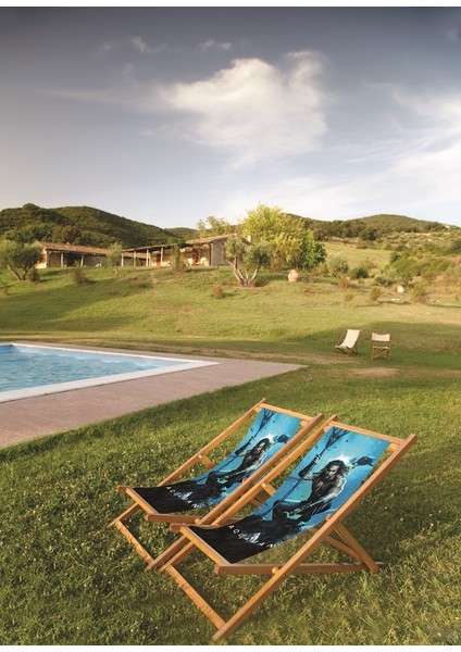 Home Aquaman Şezlong