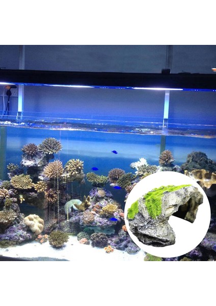 Baosity Sürüngen Saklamak Mağara Habitat Yılan Kaplumbağa Teraryum Manzara Dekorasyon G(Yurt Dışından) modelleri