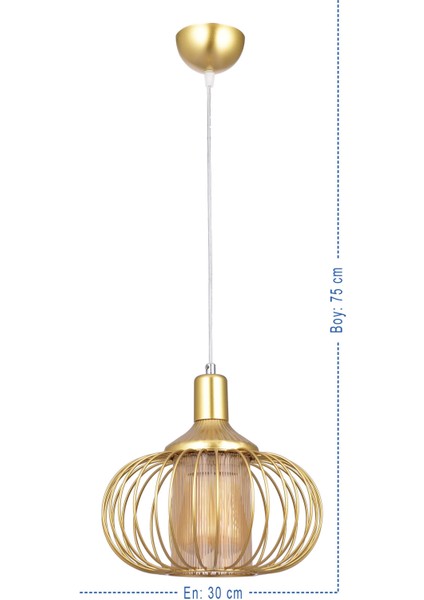 Leylak Optik Camlı Aviz (Gold)