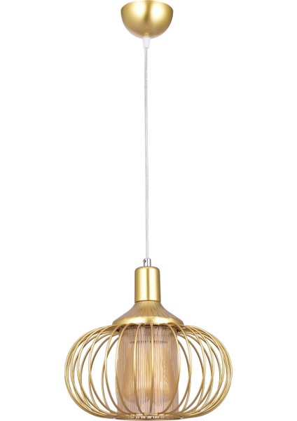 Leylak Optik Camlı Aviz (Gold)