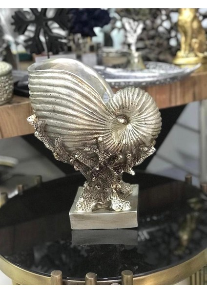 Mercan Üzerinde Deniz Kabuğu Biblo
