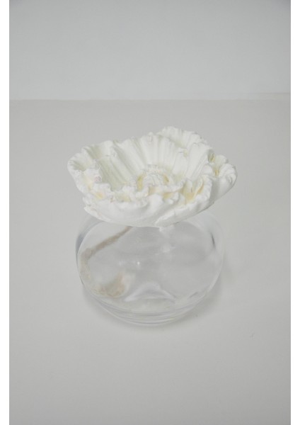 Oda Kokusu Için Yedek Ekru Çiçek Fitilli Seramik Taş 75 cc fiyatları