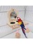 Papağan Ayna Oyun Standı Ahşap Levrek Playgym ile Besleyici Fincan Kaseler Rattan Topu 11UA | Kuş Oyuncakları - (Yurt Dışından) 3