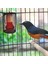 100 W Pet Isıtma Sürüngen Isı Lambası Pet Kafes Isı Yeminli Pet Coop Isıtıcı Kiti Isı Işık Ampul Pet Brooder Tavuklar Sürüngen | Birdcage Standları - (Yurt Dışından) 4