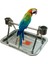 Paslanmaz Çelik Pet Kuşlar Besleme Tepsi ile Standı Masa Üst Kuşlar Için Kuşlar Için Dinlenme Oyuncak Orta Büyük Kuş Papağan Hens Macaw | Kuş Oyuncakları - (Yurt Dışından) 1