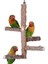 Pet Papağan Kuşlar Ayakta Sopa Ahşap Kuş Tırmanma Merdiveni Turnes Cockatiel Parakeet Pençe Taşlama Oyuncak Kuş Kafesi Aksesuarları | Kuş Oyuncakları - (Yurt Dışından) 1