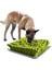 Pet Köpek Snuffle Mat Burun Kokusu Eğitim Battaniye Keskinleştirme Pad Yavaş Besleme Kase Gıda Dağıtıcı Halı Rahatlamak Stres Oyuncaklar | Köpek Oyuncakları - (Yurt Dışından) 2