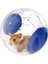 Şeffaf Sevimli Pet Hamster Egzersiz Topu Mini Trot Plastik Oyuncaklar (Mavi) - (Yurt Dışından) 1