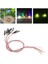 10PCS 3mm Ön LED Leds Ampul 20CM Prewired Exitting Diyotları DC3V Sıcak Beyaz (Yurt Dışından) 5