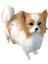 Simülasyon Köpek Peluş Oyuncak Bebek Yavru Köpek Bebek (Yurt Dışından) 1