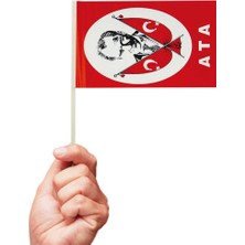 Partijet Ata Çıtalı Bayrak 12X20 cm 10'lu
