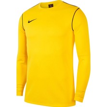 Nike Park 20 Crew Top Erkek Sarı Futbol Uzun Kollu Tişört BV6875-719