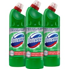 Domestos Çamaşır Suyu Dağ Esintisi 750 ml - 3lü Paket