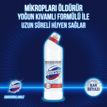 Domestos Çamaşır Suyu Kar Beyazı 750 ml - 3'lüPaket