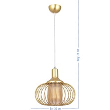 Özpolat Aydınlatma Leylak Optik Camlı Aviz (Gold)