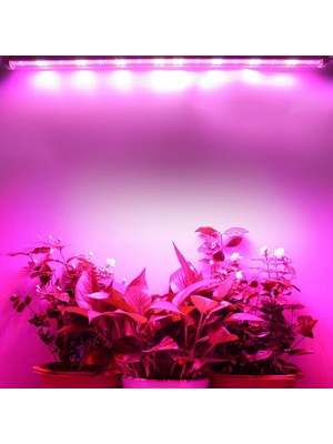 Grow LED Full Spektrum LED Bitki Büyütme Ledi 12V Opak KAPAK-50CM-ADAPTÖRSÜZ