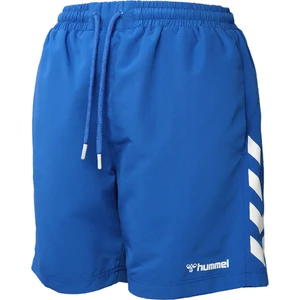 950016-2104 Normal Bel Regular Fit Düz Mavi Erkek Şort Mayo