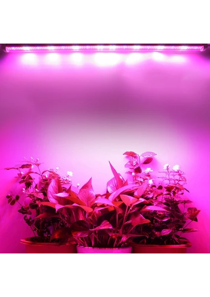 Grow LED Full Spektrum LED Bitki Büyütme Ledi 12V Opak KAPAK-50CM-ADAPTÖRSÜZ