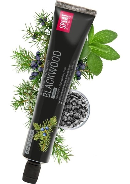 Special Blackwood Diş Macunu 2 x 75 ml fiyatları