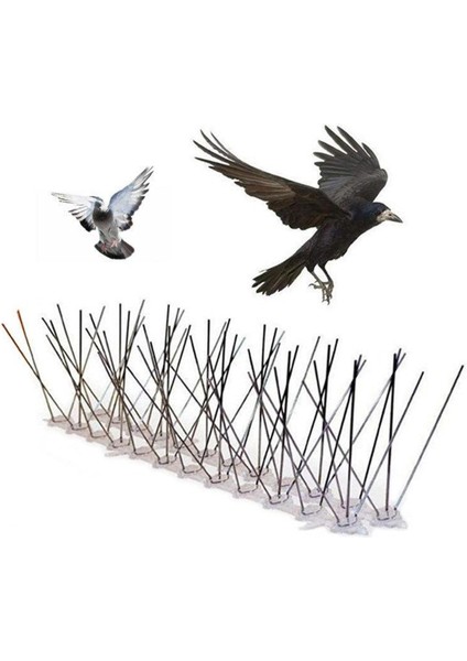 12 Adet Duvar Spike Anti-Kuş Güvercin Kovucu Caydırıcı Pencere Levrek (Yurt Dışından) fırsatları
