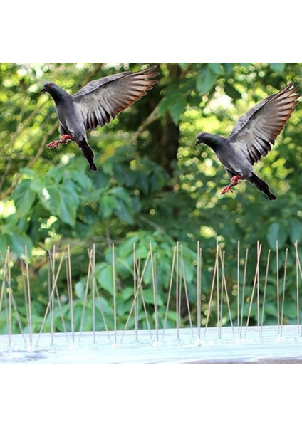 12 Adet Duvar Spike Anti-Kuş Güvercin Kovucu Caydırıcı Pencere Levrek (Yurt Dışından) indirimleri