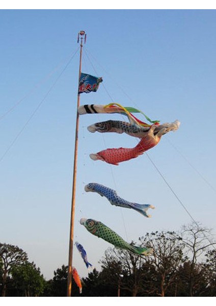5 Parça Japon Windsock Sazan Bayrağı Koi Nobori Flama Açık Dekor (Yurt Dışından)