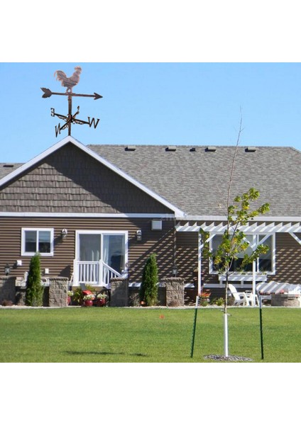 Retro Paslanmaz Çelik Horoz Weathervane Hava Kanadı (Yurt Dışından)