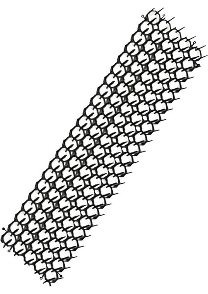Mat Kovucu Paspaslar Bahçe Çiçek Sebzeleri Için Pet Away 135X485MM (Yurt Dışından)