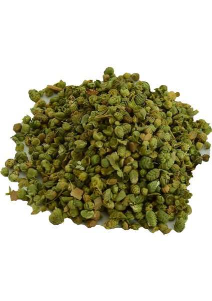 Bilya Kekik Tomurcuk Tane 100 gr