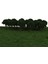 50 Koyu Yeşil Topu Şekilli Ağaç Modeli Tren Demiryolu Diorama Manzarası 1/500 3 cm (Yurt Dışından) 4