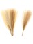 6 Adet Faux Yapay Pampas Çim Reed Boho Odası Dekor Demet Oturma Odası (Yurt Dışından) 3