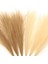 6 Adet Faux Yapay Pampas Çim Reed Boho Odası Dekor Demet Oturma Odası (Yurt Dışından) 4