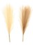 6 Adet Faux Yapay Pampas Çim Reed Boho Odası Dekor Demet Oturma Odası (Yurt Dışından) 5