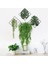 1bunch 75 cm Yapay Ağlayan Ivy Vine Bitkiler Ev Bahçe Asılı Dekor (Yurt Dışından) 3