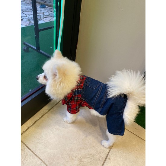 Küçük Irk Köpek Için Ekose Gömlekli Jean Tulum Fiyatı