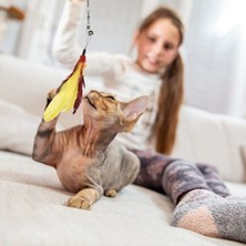Teleskopik Tüylü ve Çanlı Boyu Ayarlanabilir Elastik Eğlenceli Peluş Kedi Oyun Oltası-