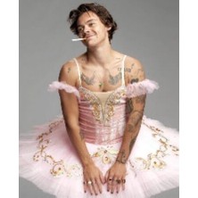 Parla Canvas Harry Styles Sayılarla Boyama Seti  Kasnaklı 40 x 50 cm