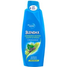 Blendax Bitki Özlü Şampuan 500 Ml Saç Bakım Şampuanı