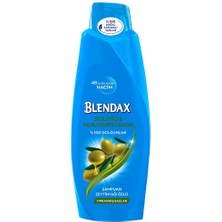 Blendax Zeytinyağı Özlü Şampuan 500 Ml Saç Bakım Şampuanı