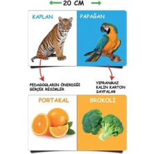 Amazeus 2090 Dıytoy, Ilk Kütüphanem-Ilk Sözcükler 8'li Mini Kitap Seti