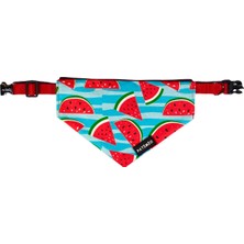 Patimio Watermelon Tasma Fular Bandana