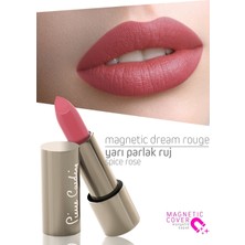Pierre Cardin Magnetic Dream Lipstick - Spice Rose 253 11253