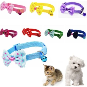 Papyon Tasarımlı Kedi Köpek Tasması-